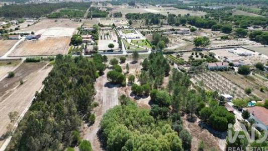 Acheter Terrain Benavente r�gion SANTAREM