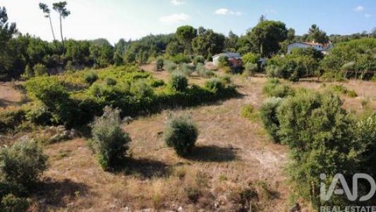 Acheter Terrain Tabua r�gion COIMBRA