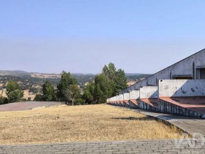 Acheter Local commercial 4115 m2 Monforte