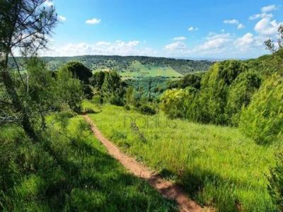 Acheter Maison Palmela r�gion SETUBAL