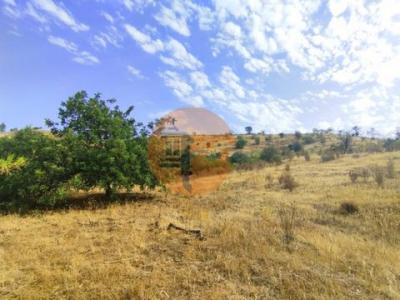 Acheter Terrain 12640 m2 Castro-marim