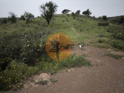 Acheter Terrain Castro-marim r�gion FARO