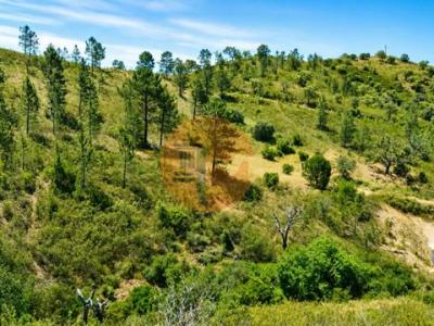 Acheter Terrain 19597 m2 Tavira