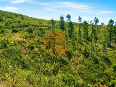 Acheter Terrain Tavira r�gion FARO