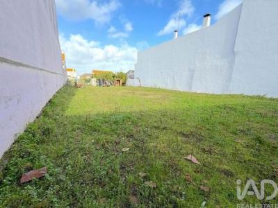 Vente Terrain Almeirim BENFICA-DO-RIBATEJO 14