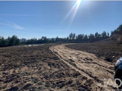 Annonce Vente Terrain Lousada