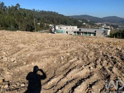 Acheter Terrain 11819 m2 Lousada
