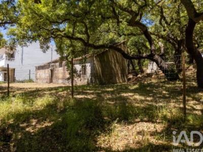 Acheter Maison Monchique r�gion FARO