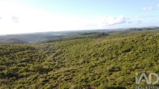 Annonce Vente Terrain Ourem