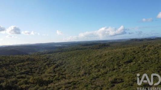 Acheter Terrain 32767 m2 Ourem