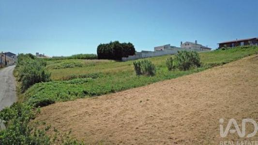 Annonce Vente Terrain Alcobaca