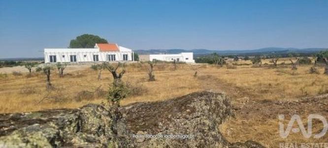 Acheter Maison 480 m2 Nisa