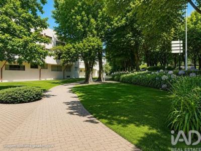 Acheter Appartement 123 m2 Matosinhos