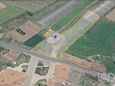 Acheter Terrain 1472 m2 Esposende