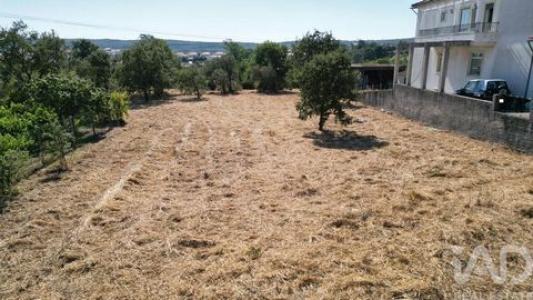 Acheter Terrain 2507 m2 Ansiao
