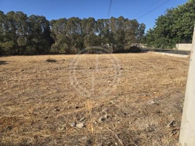 Annonce Vente Terrain Faro