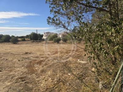 Acheter Terrain 3120 m2 Faro