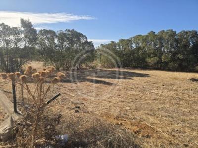 Acheter Terrain Faro r�gion FARO
