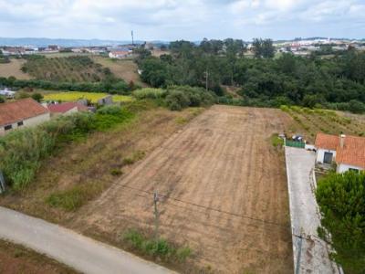 Annonce Vente Terrain Alcobaca