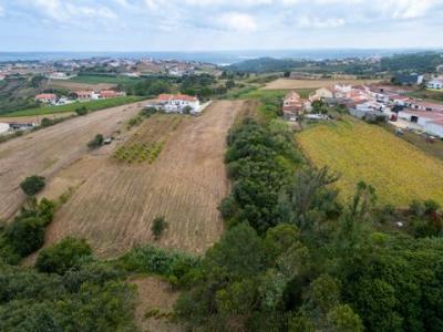 Acheter Terrain 3370 m2 Alcobaca
