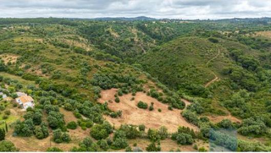 Annonce Vente Terrain Santiago-do-cacem