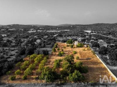 Annonce Vente Maison Loule