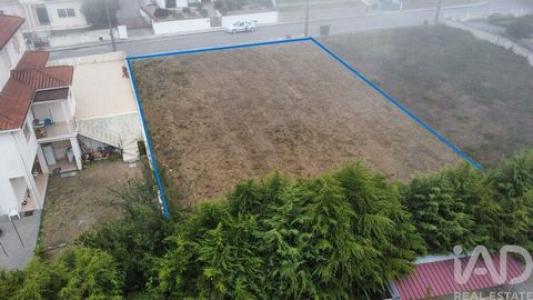 Annonce Vente Terrain Figueiro-dos-vinhos