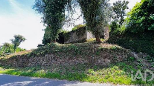 Annonce Vente Maison Amarante