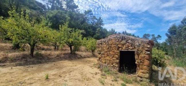 Acheter Terrain 4250 m2 Mafra