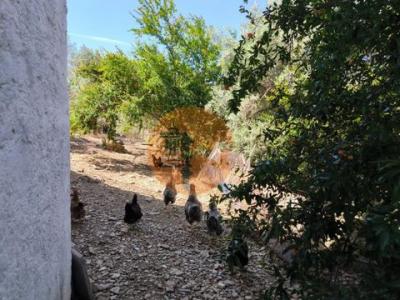 Acheter Maison Castro-marim r�gion FARO