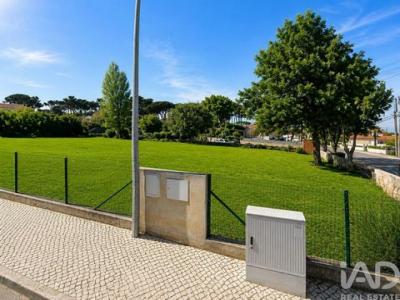 Acheter Terrain 778 m2 Sintra