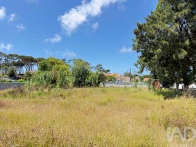 Acheter Terrain Sintra r�gion LISBOA