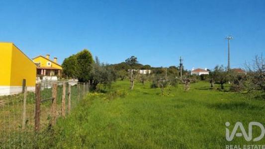 Vente Terrain Torres-novas MEIA-VIA 14