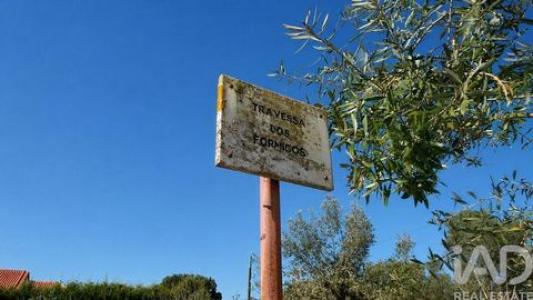 Acheter Terrain 4360 m2 Torres-novas