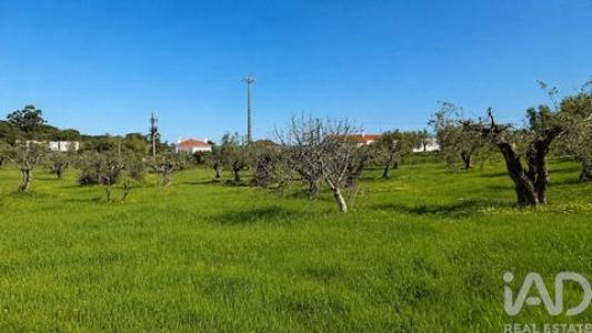 Acheter Terrain Torres-novas r�gion SANTAREM
