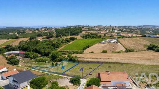 Annonce Vente Terrain Alcobaca