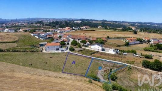 Acheter Terrain 2116 m2 Alcobaca