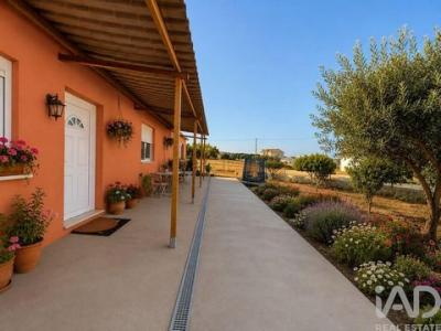 Annonce Vente Maison Chamusca
