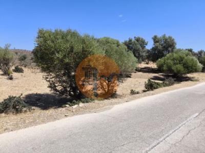 Acheter Terrain 2500 m2 Castro-marim