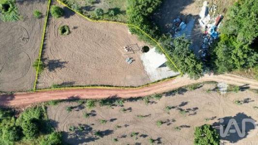 Acheter Terrain Penela r�gion COIMBRA