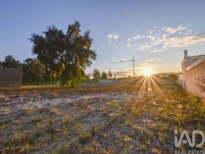 Annonce Vente Terrain Marinha-grande
