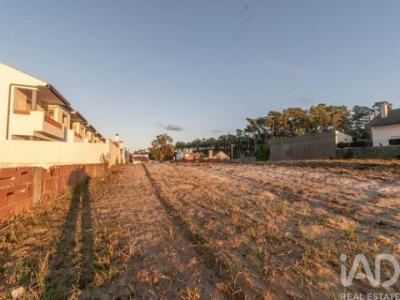 Acheter Terrain 4256 m2 Marinha-grande