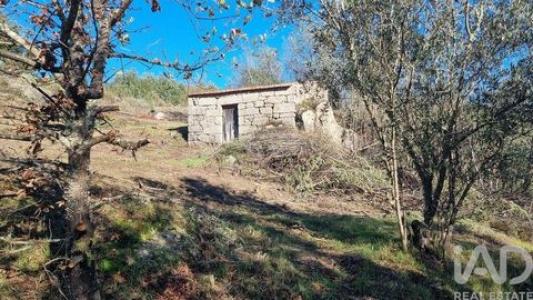 Annonce Vente Terrain Fornos-de-algodres