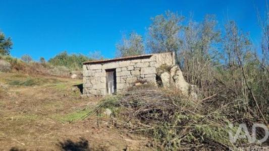 Acheter Terrain 10500 m2 Fornos-de-algodres