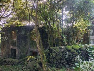 Annonce Vente Maison Lajes-do-pico