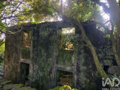 Acheter Maison Lajes-do-pico r�gion ACORES