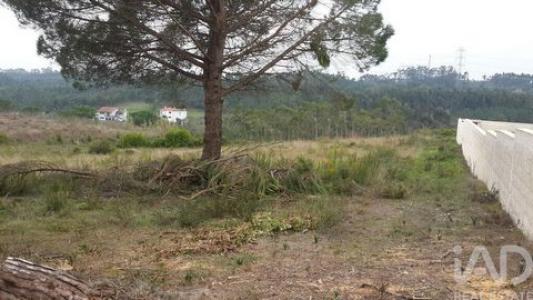 Acheter Terrain Coimbra r�gion LEIRIA