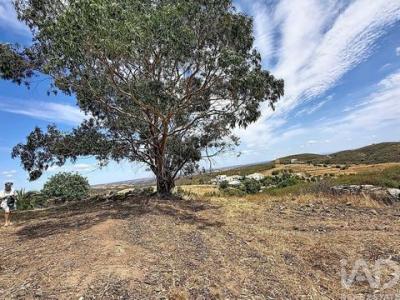 Acheter Maison Tavira r�gion FARO