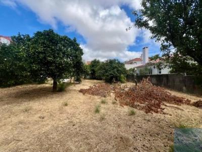 Acheter Terrain Aboboda r�gion LISBOA