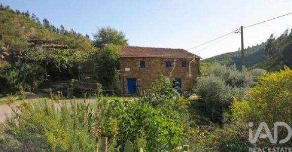 Vente Maison Figueiro-dos-vinhos FIGUEIRA�-DOS-VINHOS-E-BAIRRADAS 10 au Portugal
